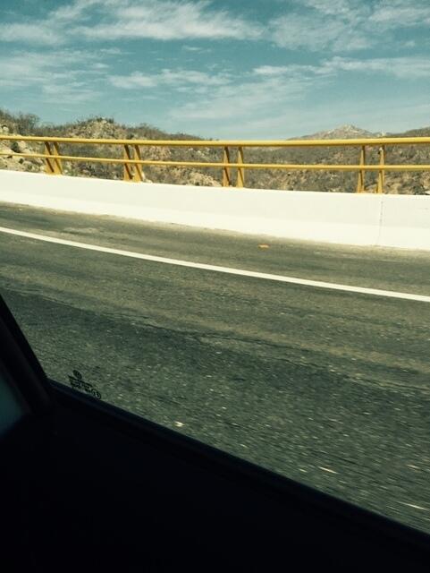 IMG 7040(1)