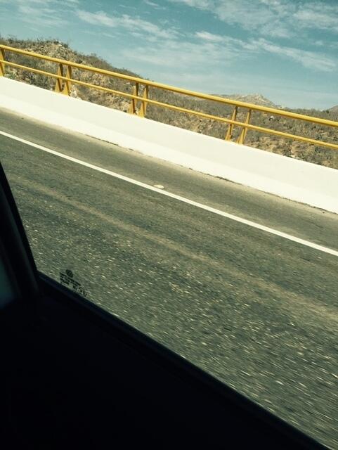 IMG 7041(1)