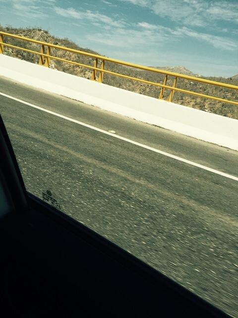 IMG 7041