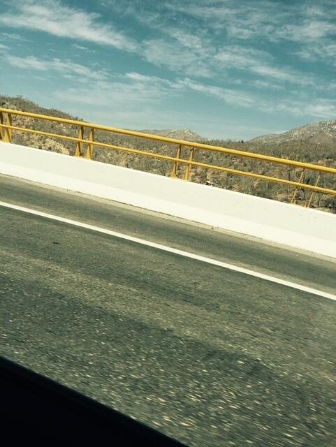 IMG 7042(1)