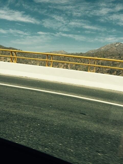 IMG 7043(1)