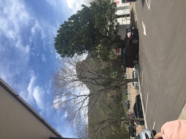 IMG 7527