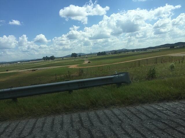 IMG 7884