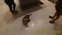 20151001 150056