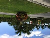 2019-03-29 10-09-51 836