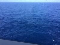 2019-03-30 14-38-09 092