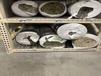 24-03-03 12-35-16 6766