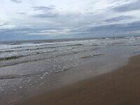 58751096743 E26EB525-C16B-4BC2-9F09-FFACA1D37B43