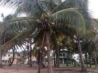 58751108819 DF32471C-4F22-4943-9F2A-916CEC895411