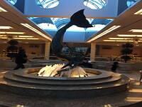 58777233108 7B4FA920-F260-4399-8E11-288232F43BFF