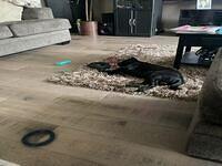 66551597974 74728517-AF3C-4A45-BAA5-B387076B2B69