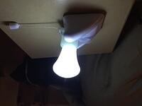 Brandon’s iPhone-img 1858