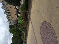 Brandon’s iPhone-img 4444