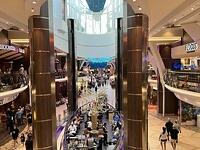 IMG 6905