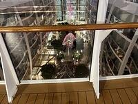 IMG 6934