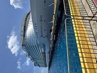 IMG 6950