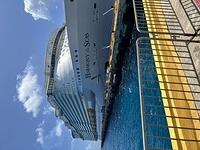 IMG 6951