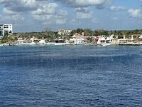 IMG 6979