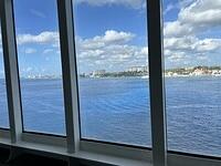 IMG 6981