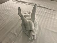 IMG 6995