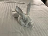 IMG 6996