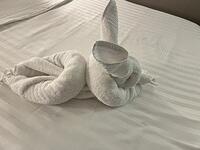 IMG 6997
