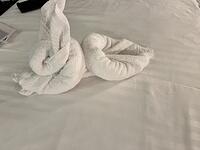 IMG 6998