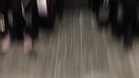IMG 0020