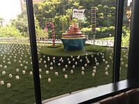 IMG 0069