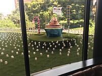 IMG 0070