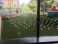 IMG 0072