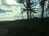 IMG 0198