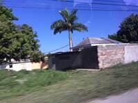 IMG 0206