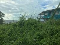 IMG 0208