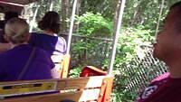 IMG 0217