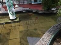 IMG 0252