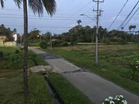 IMG 0254