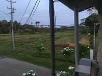 IMG 0255