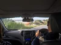 IMG 0271