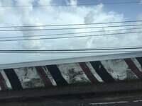 IMG 0339