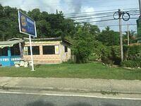 IMG 0344