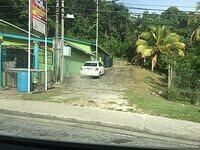 IMG 0346