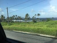 IMG 0363