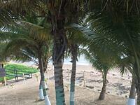 IMG 0428