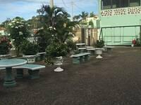 IMG 0439