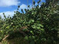 IMG 0480