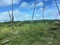 IMG 0480