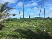 IMG 0481