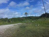 IMG 0482