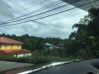 IMG 0487